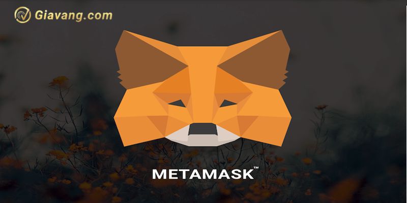 Vi MetaMask la gi