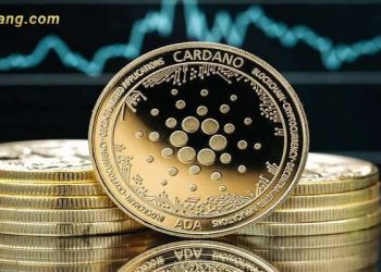 ADA coin (Cardano) là gì? Tương lai của ADA coin liệu có tiềm năng?