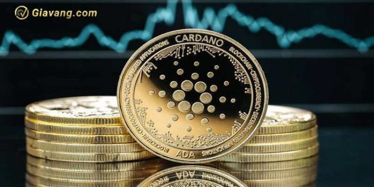 ADA coin (Cardano) là gì? Tương lai của ADA coin liệu có tiềm năng?