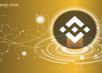 BNB coin là gì? Tất tần tật những thông tin về đồng Binance coin
