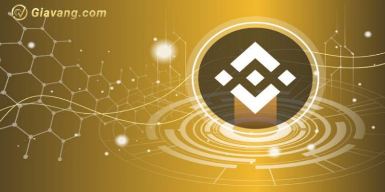 BNB coin là gì? Tất tần tật những thông tin về đồng Binance coin