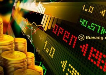 Chứng khoán hôm nay 12/08/2024: VN-Index tăng nhẹ đạt 1,225.19 điểm