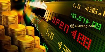 Chứng khoán hôm nay 12/08/2024: VN-Index tăng nhẹ đạt 1,225.19 điểm 6 Chứng khoán hôm nay 12/08/2024: VN-Index tăng nhẹ đạt 1,225.19 điểm