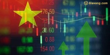 Chứng khoán hôm nay 15/08/2024: VN-Index giằng co giảm hơn 4 điểm 10 Chứng khoán hôm nay 15/08/2024: VN-Index giằng co giảm hơn 4 điểm