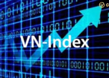 Chứng khoán hôm nay 19/08/2024: VN-Index, HNX-Index tăng điểm
