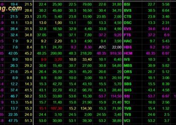 Chứng khoán hôm nay 22/08/2024: VN-Index tăng 1.87 điểm