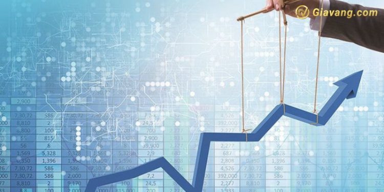 Chứng khoán hôm nay 23/08/2024: Chỉ số VN-Index và HNX-Index giảm 1 Chứng khoán hôm nay 23/08/2024: Chỉ số VN-Index và HNX-Index giảm