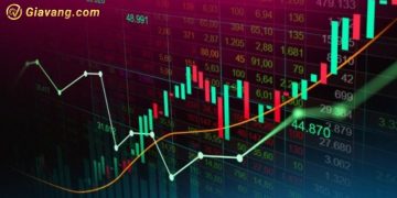 Chứng khoán hôm nay 28/08/2024: VN-Index tăng 1.36 điểm, HNX-Index giảm 0.75 điểm 3 Chứng khoán hôm nay 28/08/2024: VN-Index tăng 1.36 điểm, HNX-Index giảm 0.75 điểm