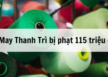 CTCP May Thanh Trì (UPCoM: TTG) bị phạt 115 triệu đồng