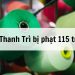 CTCP May Thanh Trì (UPCoM: TTG) bị phạt 115 triệu đồng