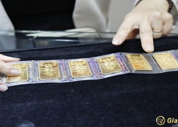 Giá vàng trong nước hôm nay 21/8/2024: Đồng loạt tăng ‘bốc đầu’