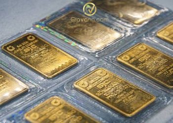 Giá vàng trong nước hôm nay 24/8/2024: Vàng nhẫn giảm nhẹ 150.000 đồng/lượng