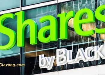 Quỹ iShares ETF loại tiếp 2 mã cổ phiếu từ ngày 12-19/08/2024