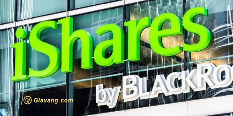 Quỹ iShares ETF loại tiếp 2 mã cổ phiếu từ ngày 12-19/08/2024 1 Quỹ iShares ETF loại tiếp 2 mã cổ phiếu từ ngày 12-19/08/2024