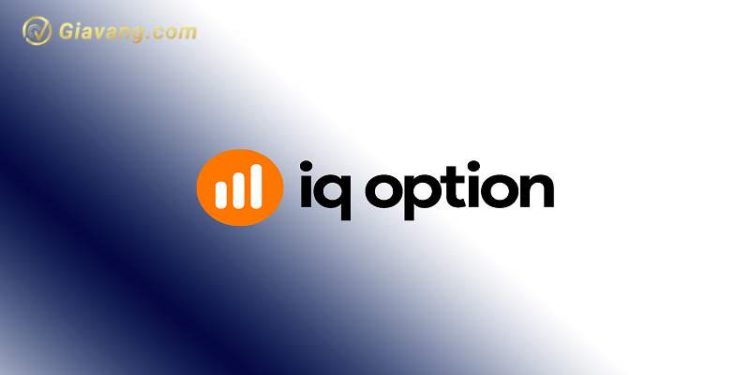 Sàn IQ Option là gì? Đánh giá chi tiết sàn IQ Option 2024