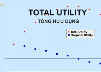 Tổng hữu dụng là gì? Công thức tính tổng hữu dụng tối đa chi tiết 