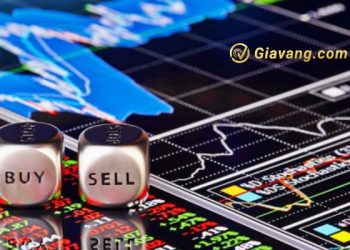 Top cổ phiếu đáng chú ý đầu tuần 12/08 trên 2 sàn