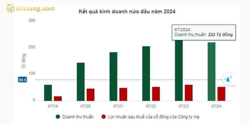 Kết quả kinh doanh nửa đầu năm 2024