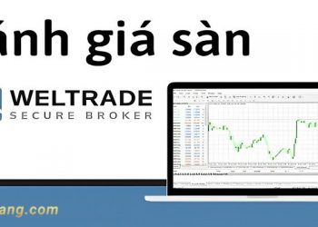 Đánh giá sàn Weltrade từ góc nhìn của các chuyên gia hàng đầu