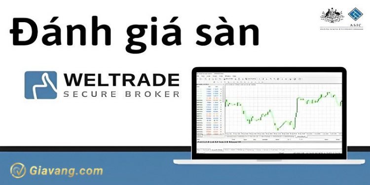 Đánh giá sàn Weltrade từ góc nhìn của các chuyên gia hàng đầu 1 Đánh giá sàn Weltrade từ góc nhìn của các chuyên gia hàng đầu