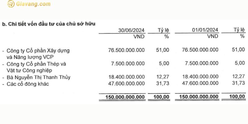 Cơ cấu cổ đông XMP tính đến ngày 30/06