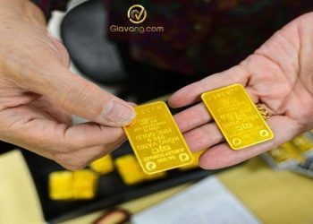 Giá vàng trong nước hôm nay 04/09/2024: Ổn định sau kỳ nghỉ lễ kéo dài