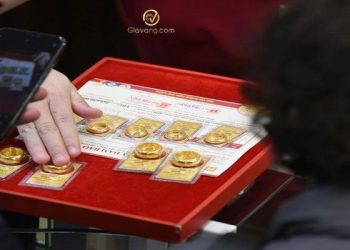 Giá vàng trong nước hôm nay 10/09/2024: Vàng nhẫn đồng loạt giảm