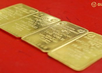 Giá vàng trong nước hôm nay 20/09/2024: Vàng miếng SJC tuột mốc 82 triệu đồng/lượng