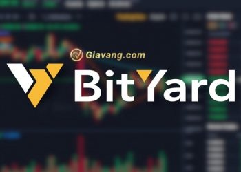 Sàn Bityard là gì? Review mới nhất về sàn giao dịch giao dịch tiền điện tử Bityard