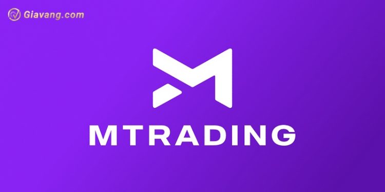 Sàn MTrading có uy tín không? Tất cả những thông tin về sàn 1 Sàn MTrading có uy tín không? Tất cả những thông tin về sàn