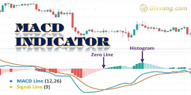 Duong MACD