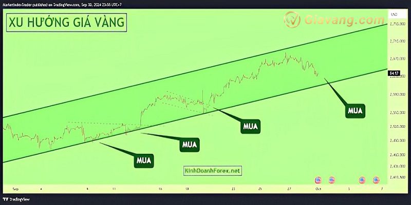 Xac dinh cac muc khang cu va ho tro quan trong