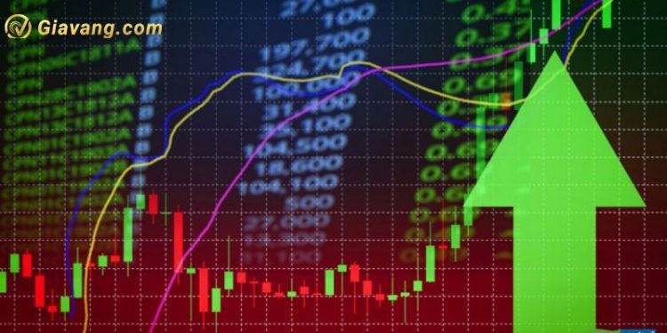 Chứng khoán hôm nay 17/10/2024: VN-Index giảm sâu 1 Chứng khoán hôm nay 17/10/2024: VN-Index giảm sâu