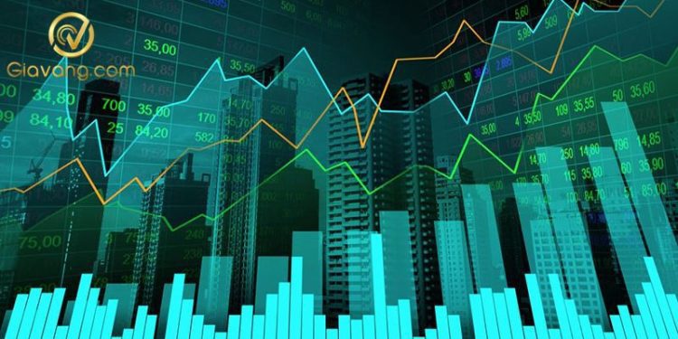 Chứng khoán hôm nay 23/10/2024: Áp lực bán vẫn chiếm ưu thế 1 Chứng khoán hôm nay 23/10/2024: Áp lực bán vẫn chiếm ưu thế