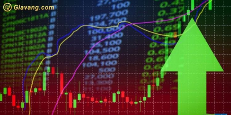 Chứng khoán hôm nay 25/10/2024: TTCK phân hóa với biên độ hẹp
