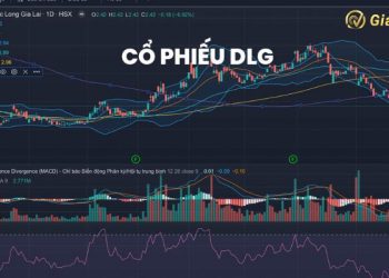 Cổ phiếu DLG có nguy cơ bị hủy niêm yết trên sàn giao dịch