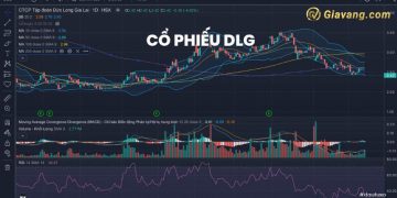 Cổ phiếu DLG có nguy cơ bị hủy niêm yết trên sàn giao dịch 8 Cổ phiếu DLG có nguy cơ bị hủy niêm yết trên sàn giao dịch