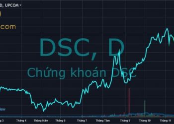 Cổ phiếu DSC chính thức niêm yết trên sàn HOSE