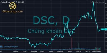 Cổ phiếu DSC chính thức niêm yết trên sàn HOSE 7 Cổ phiếu DSC chính thức niêm yết trên sàn HOSE