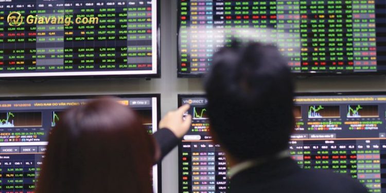 Cổ phiếu DXV vẫn rơi vào diện cảnh báo sau khoản lỗ lũy kế 4 năm