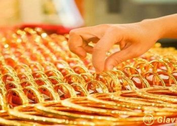 Giá vàng trong nước hôm nay 14/10/2024: Ổn định sau thời gian biến động