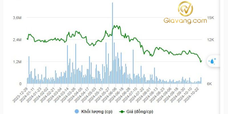 Diễn biến giá cổ phiếu ADS từ đầu năm 2024 đến nay