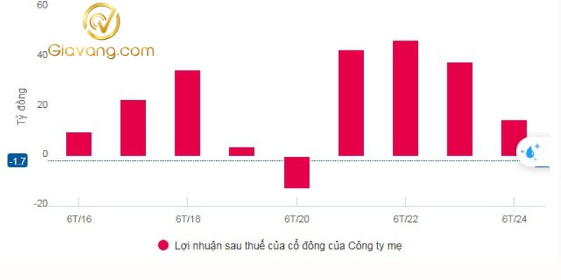 Lợi nhuận ròng bán niên của ADS từ khi công bố thông tin đến nay