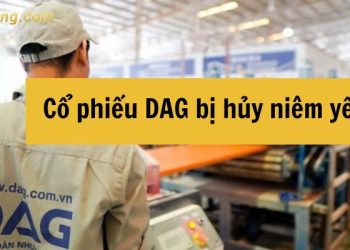 Hơn 60 triệu cổ phiếu DAG bị hủy niêm yết từ 22/10