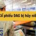 Hơn 60 triệu cổ phiếu DAG bị hủy niêm yết từ 22/10 7 Hơn 60 triệu cổ phiếu DAG bị hủy niêm yết từ 22/10