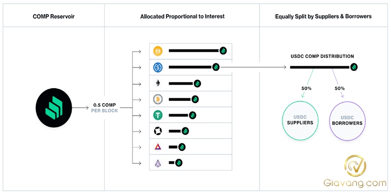 COMP Token Release Schedule