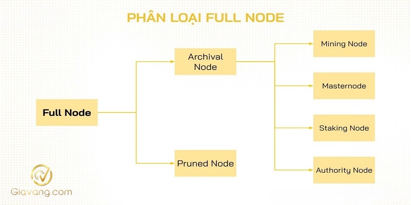 Cac loai Full Node