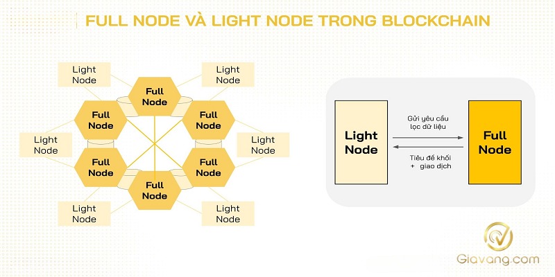 Cach hoat dong cua Light Node