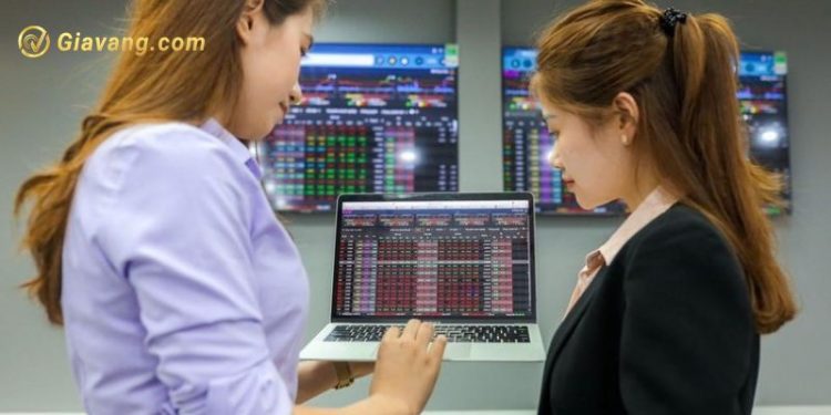 Chứng khoán Everest nâng sở hữu nhóm lên gần 34%