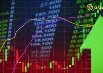 Chứng khoán hôm nay 08/11/2024: VN-Index tăng 1,263.63 điểm
